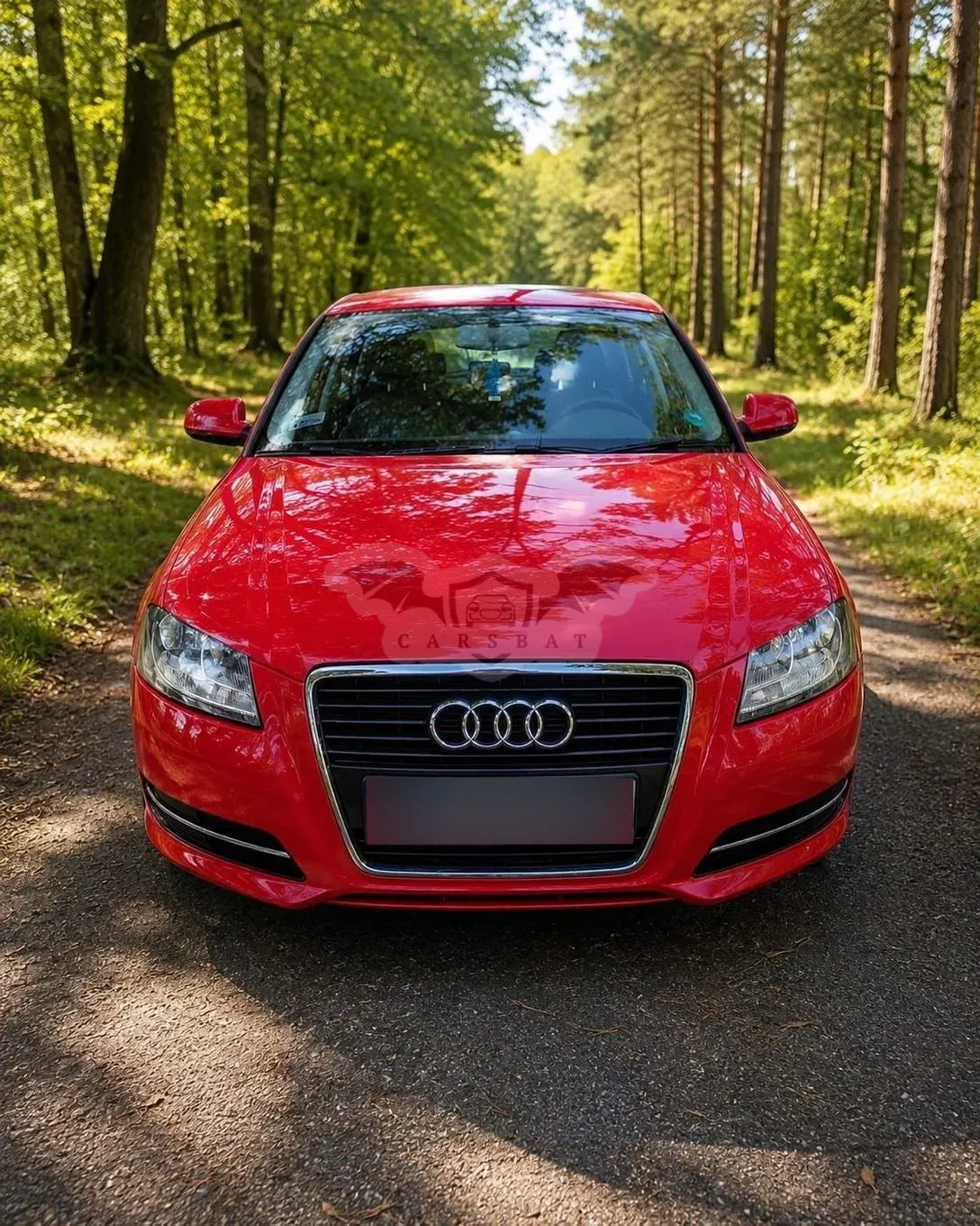 Audi A3 8P (2003-2012) 1.6 TDI DPF Ambition 2010