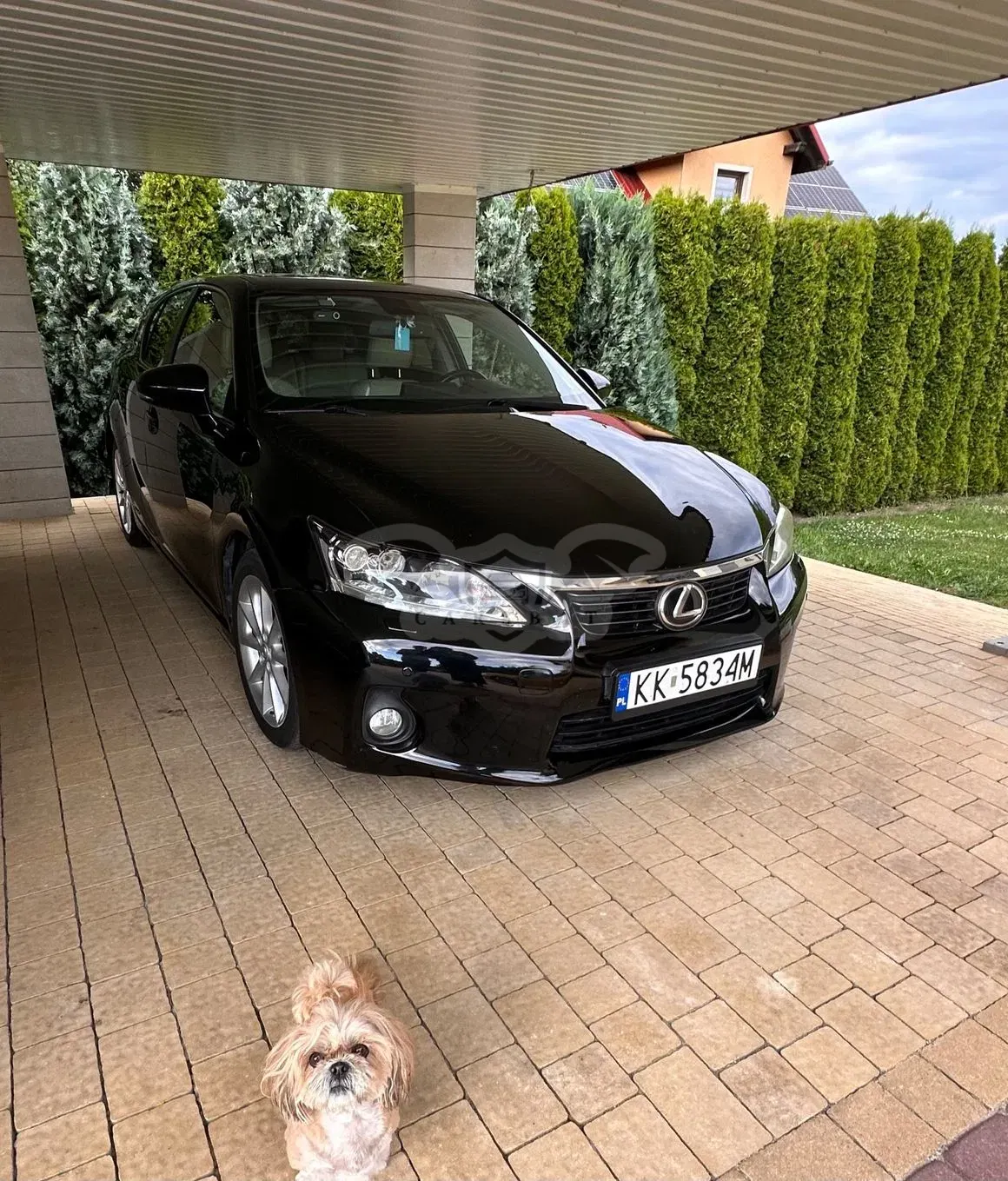 Lexus CT 2011