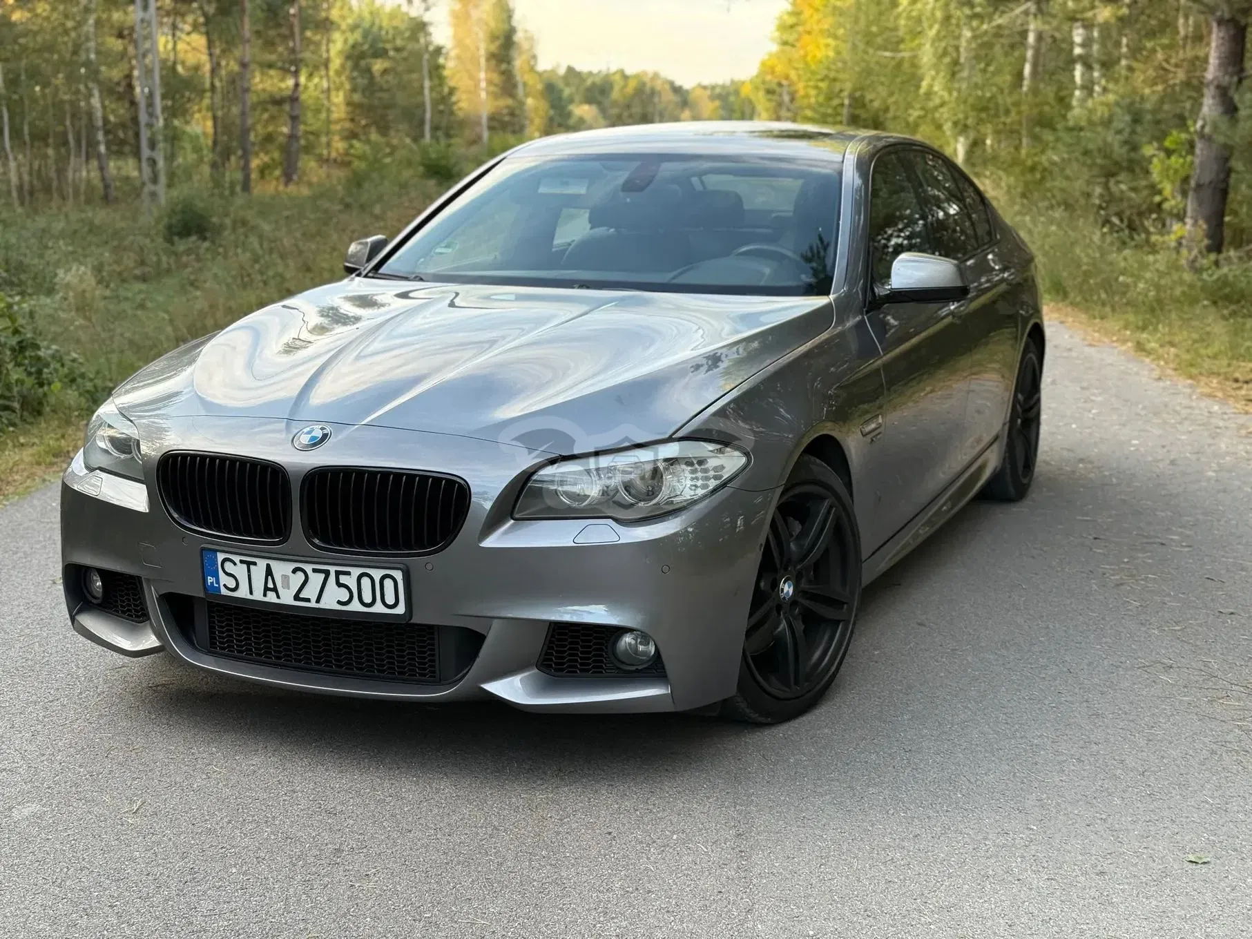 BMW 5 Series F10/F11 (2009-2017) 550i 2011