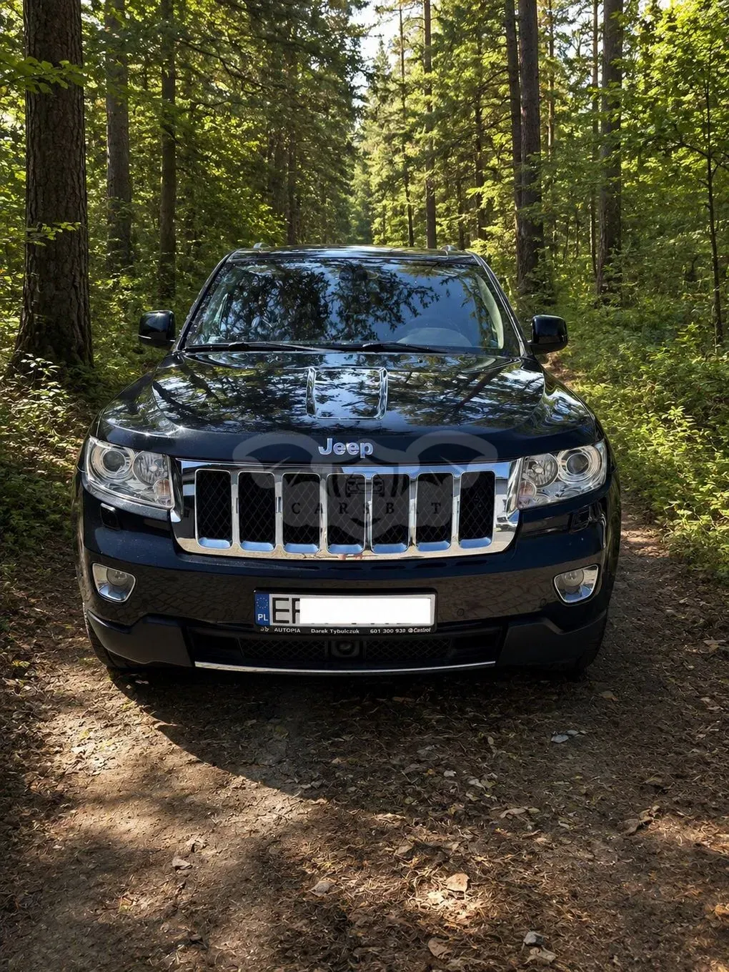 Jeep Grand Cherokee IV (2010-2021) 3.0 CRD Overland 2012