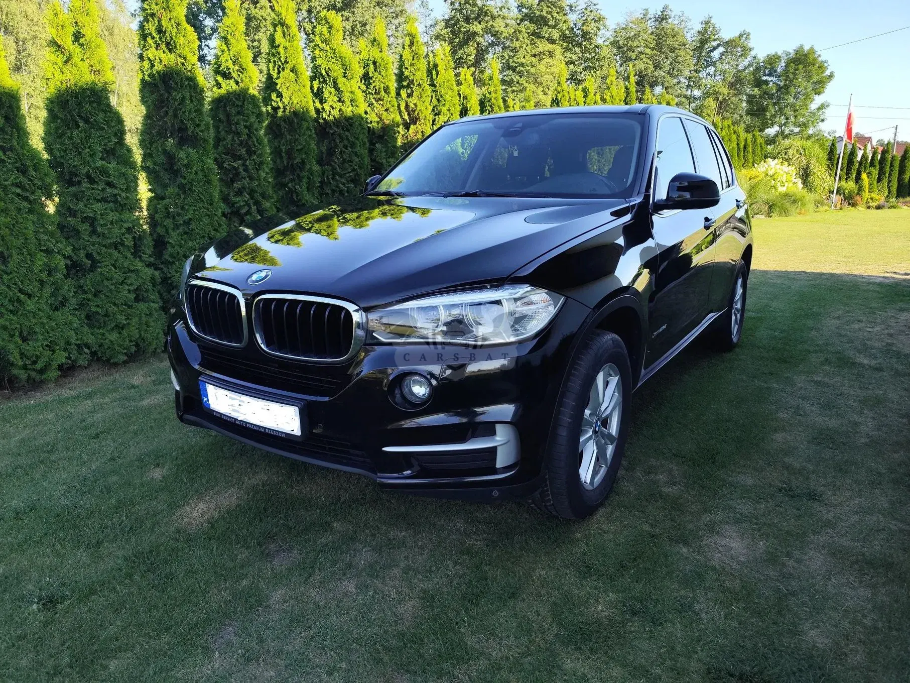 BMW X5 F15 (2013-2018) xDrive25d 2015