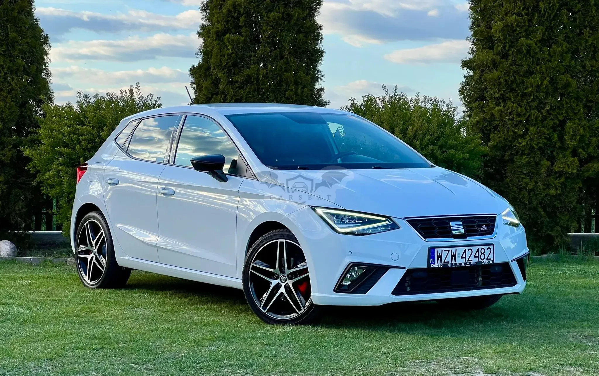Seat Ibiza V (2017-) 1.0 TSI FR Anniversary S&S 2020