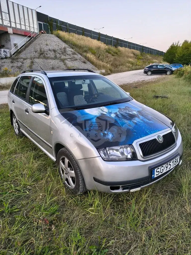 Skoda Fabia I (1999-2008) 1.9 TDI Elegance 2004
