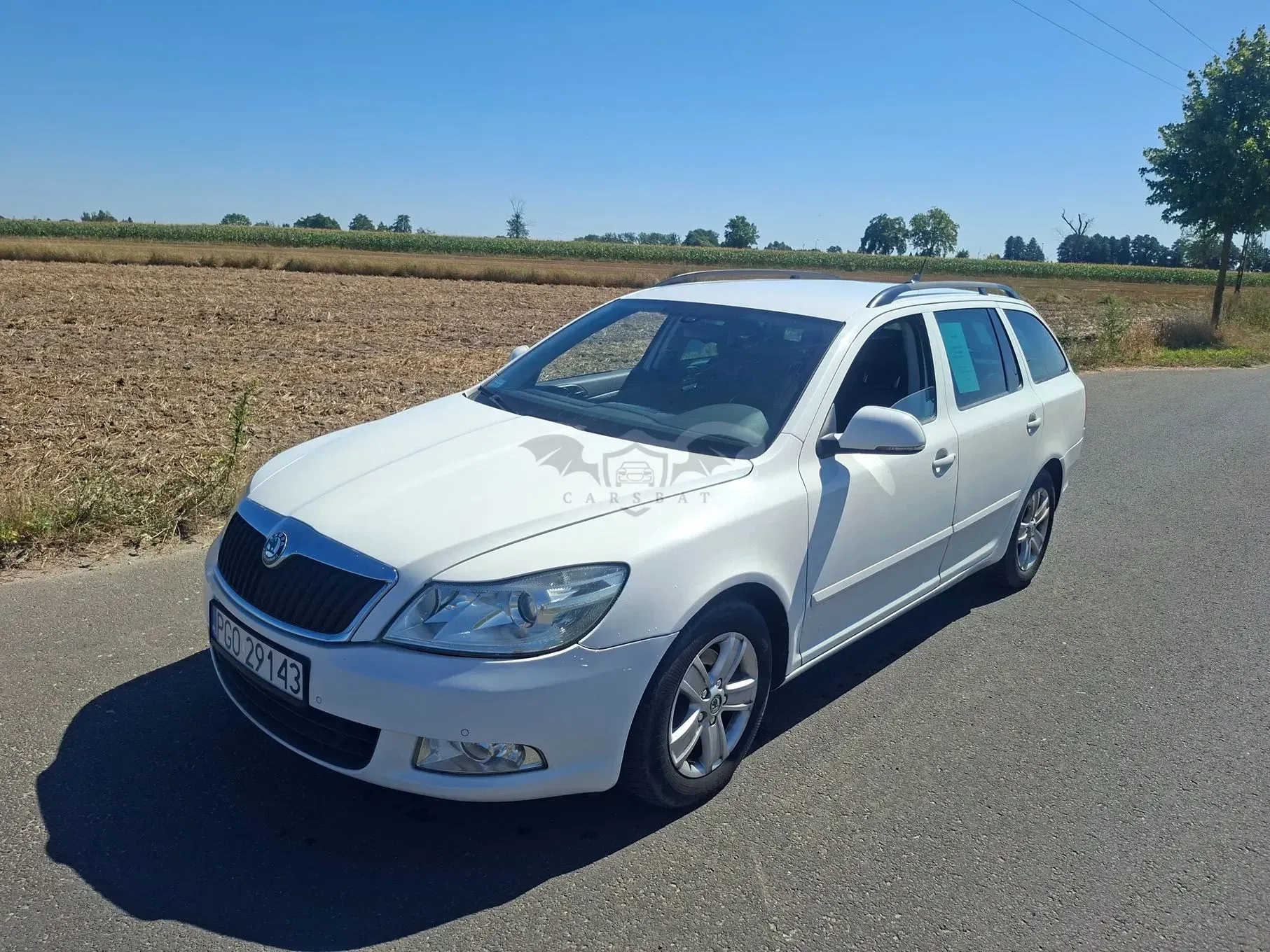 Skoda Octavia II (2004-2013) 1.6 TDI Greenline 2010