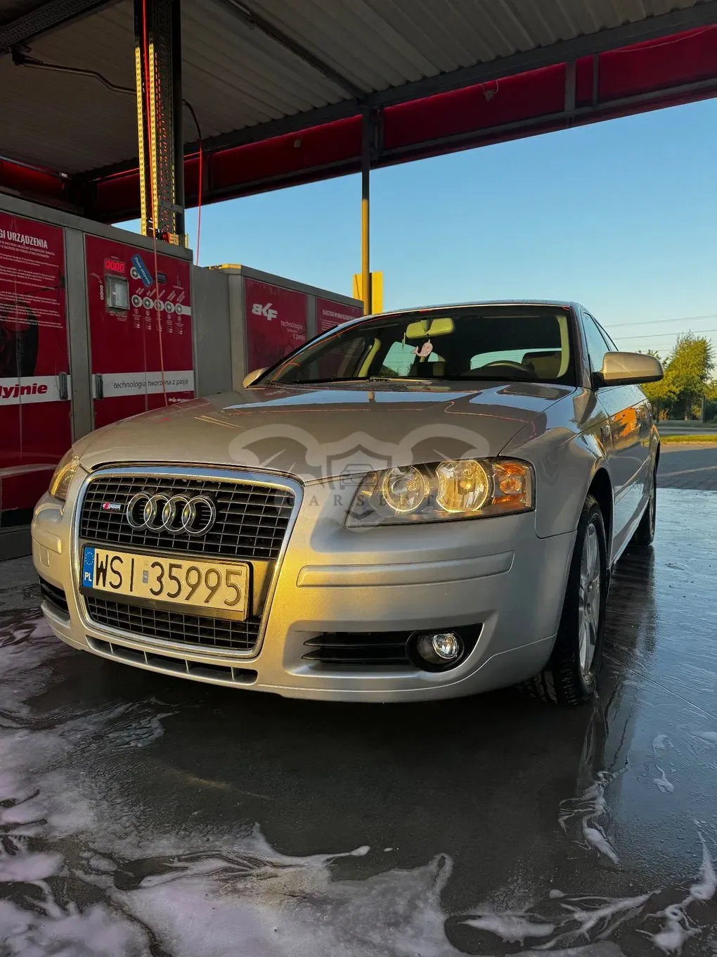 Audi A3 8P (2003-2012) 1.6 Ambiente 2006