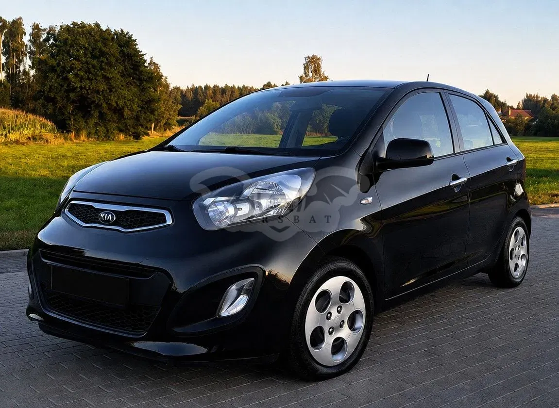 Kia Picanto (Morning) II (2011-) 1.0 L 2014