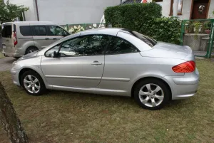 Peugeot 307 2007