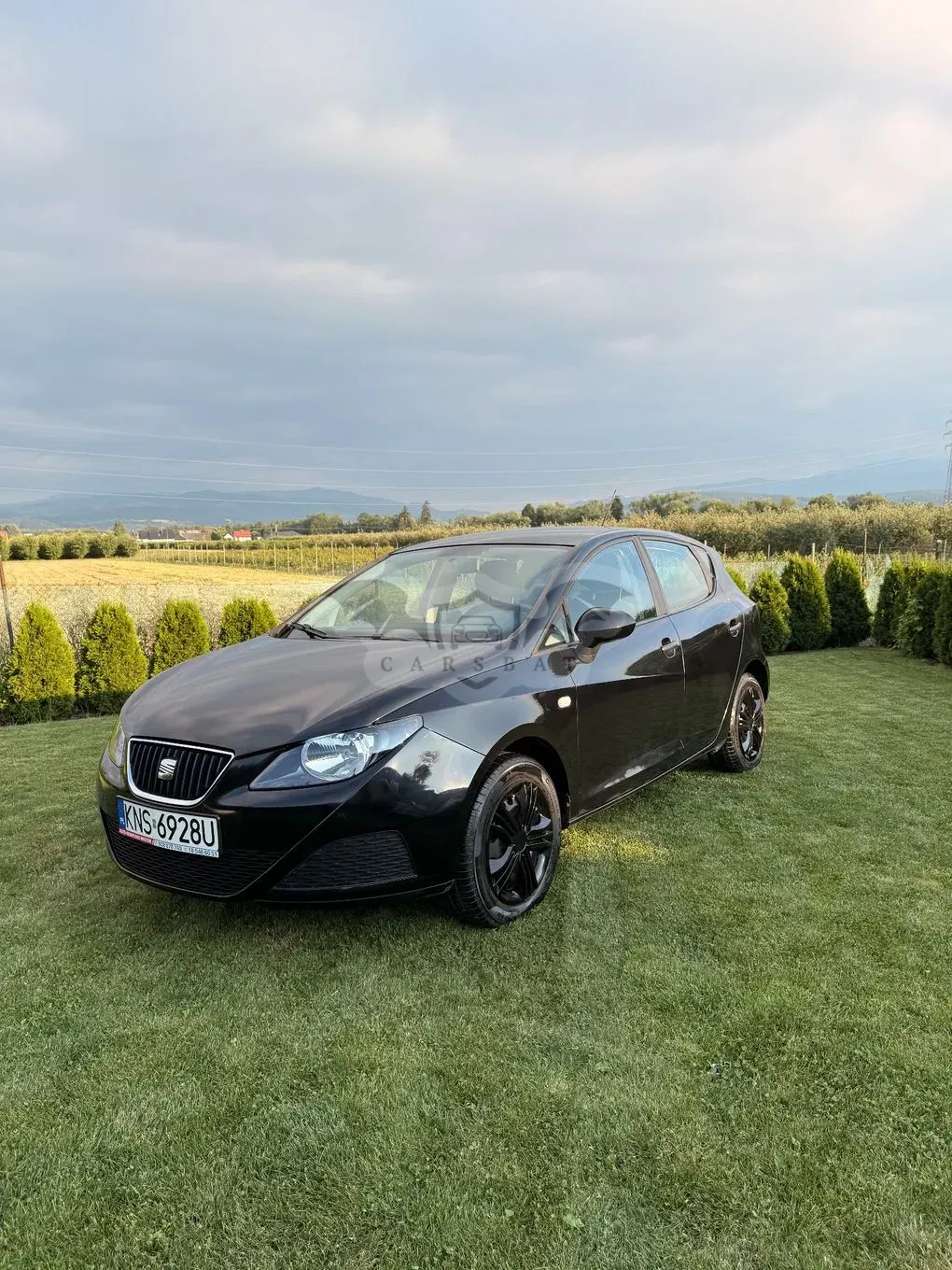 Seat Ibiza IV (2008-2017) 1.2 TDI Ecomotive Reference 2012