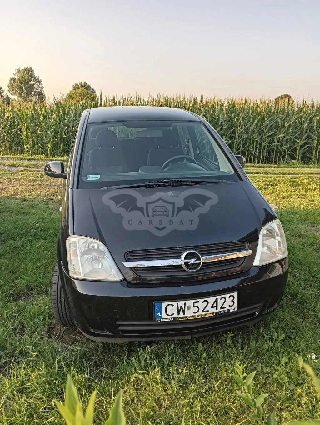 Opel Meriva I (2002-2010) 1.6 16V Essentia 2004