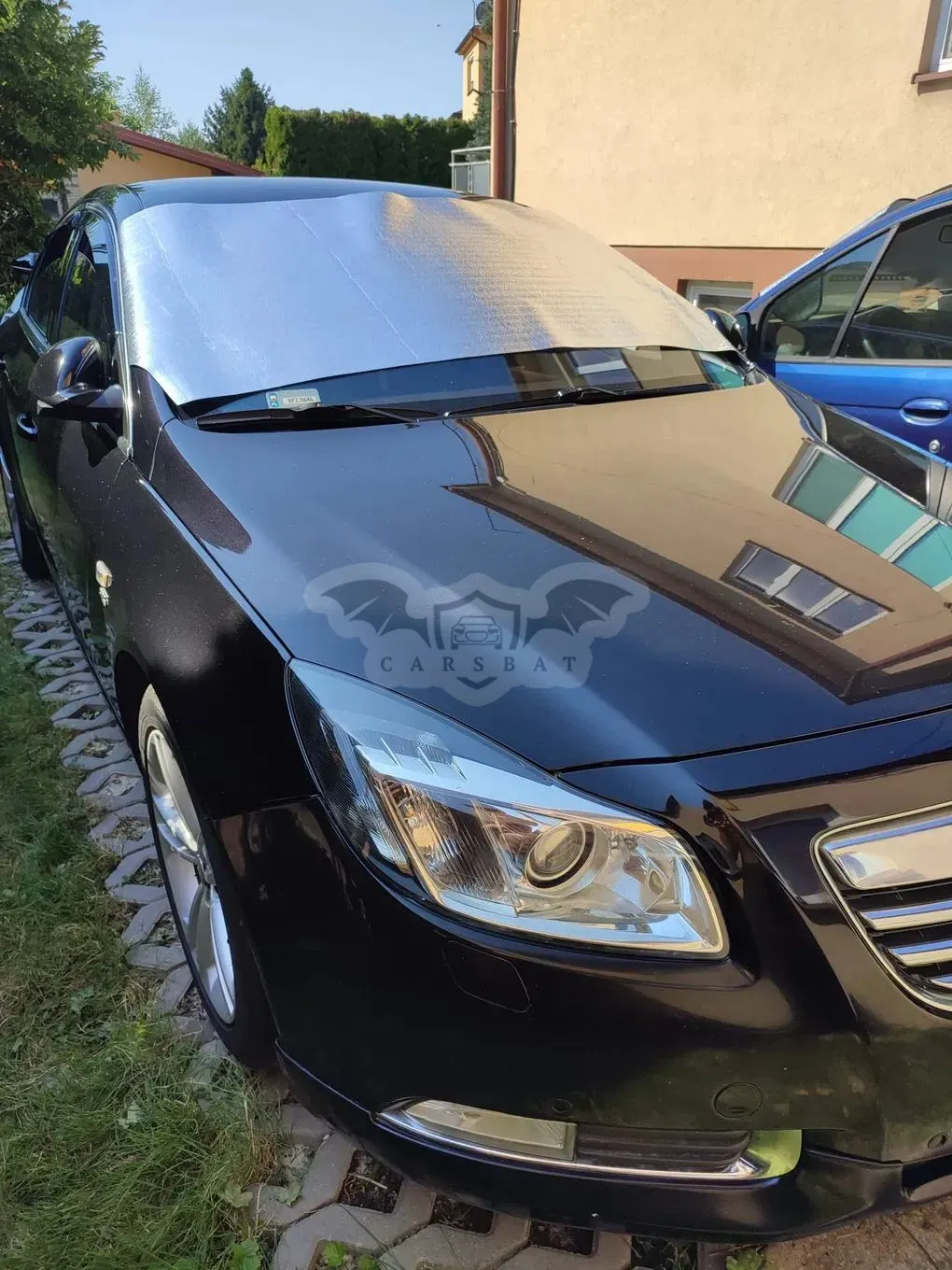 Opel Insignia A (2008-2017) 2.0 T Sport 2009