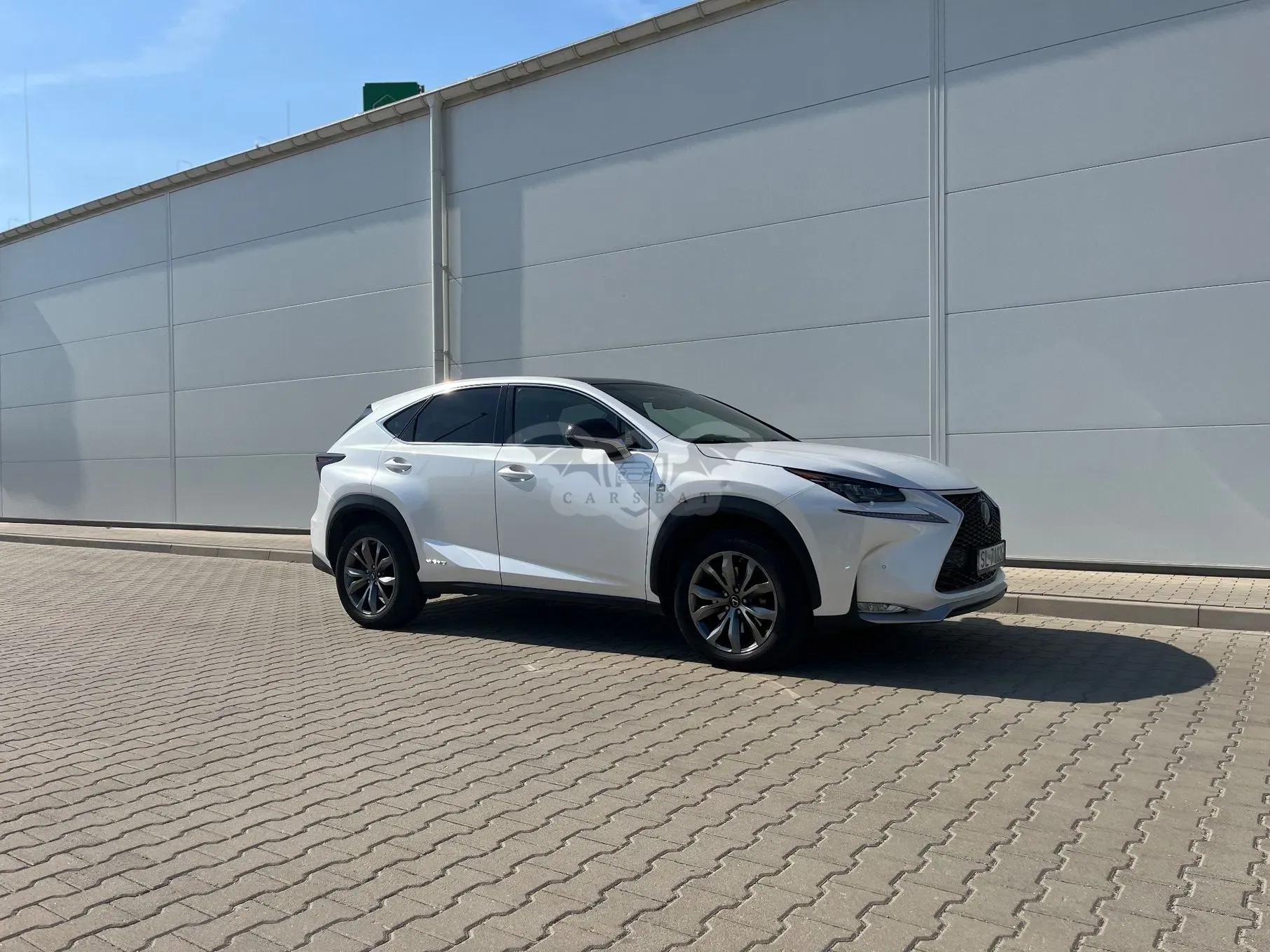 Lexus NX I (2014-2021) 300h F Sport AWD 2014