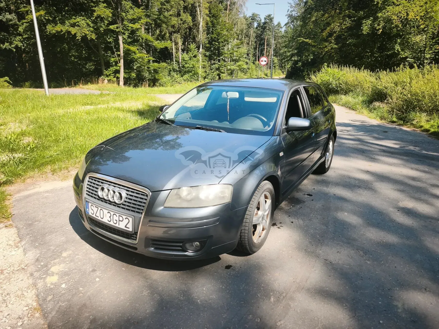Audi A3 8P (2003-2012) 2006
