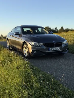 BMW 4 Series I F32/F33/F82 (2013-2020) 428i xDrive 2014