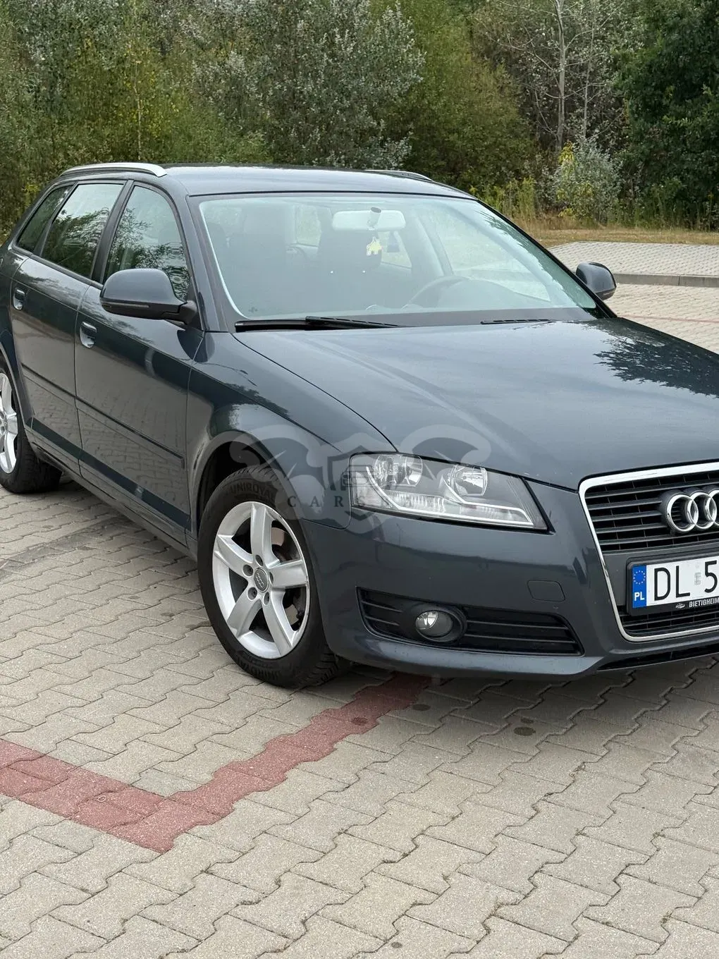 Audi A3 8P (2003-2012) 2009