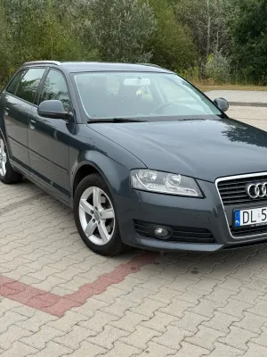 Audi A3 8P (2003-2012) 2009