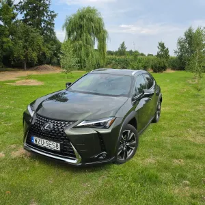 Lexus UX 200 GPF Business 2WD 2023