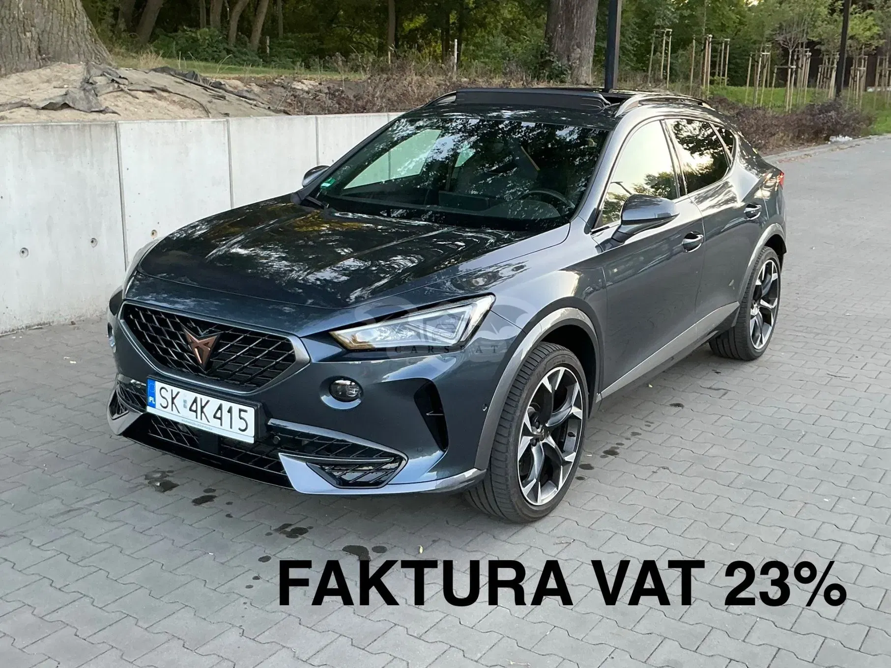 Cupra Formentor VZ 2.0 TSI 4Drive DSG 2024
