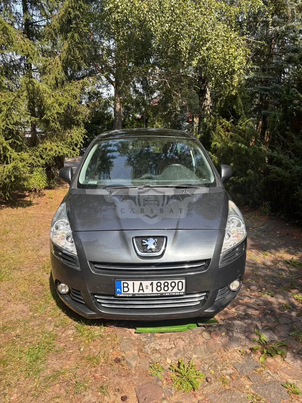 Peugeot 5008 I (2009-2017) 2.0 HDi Premium 2009