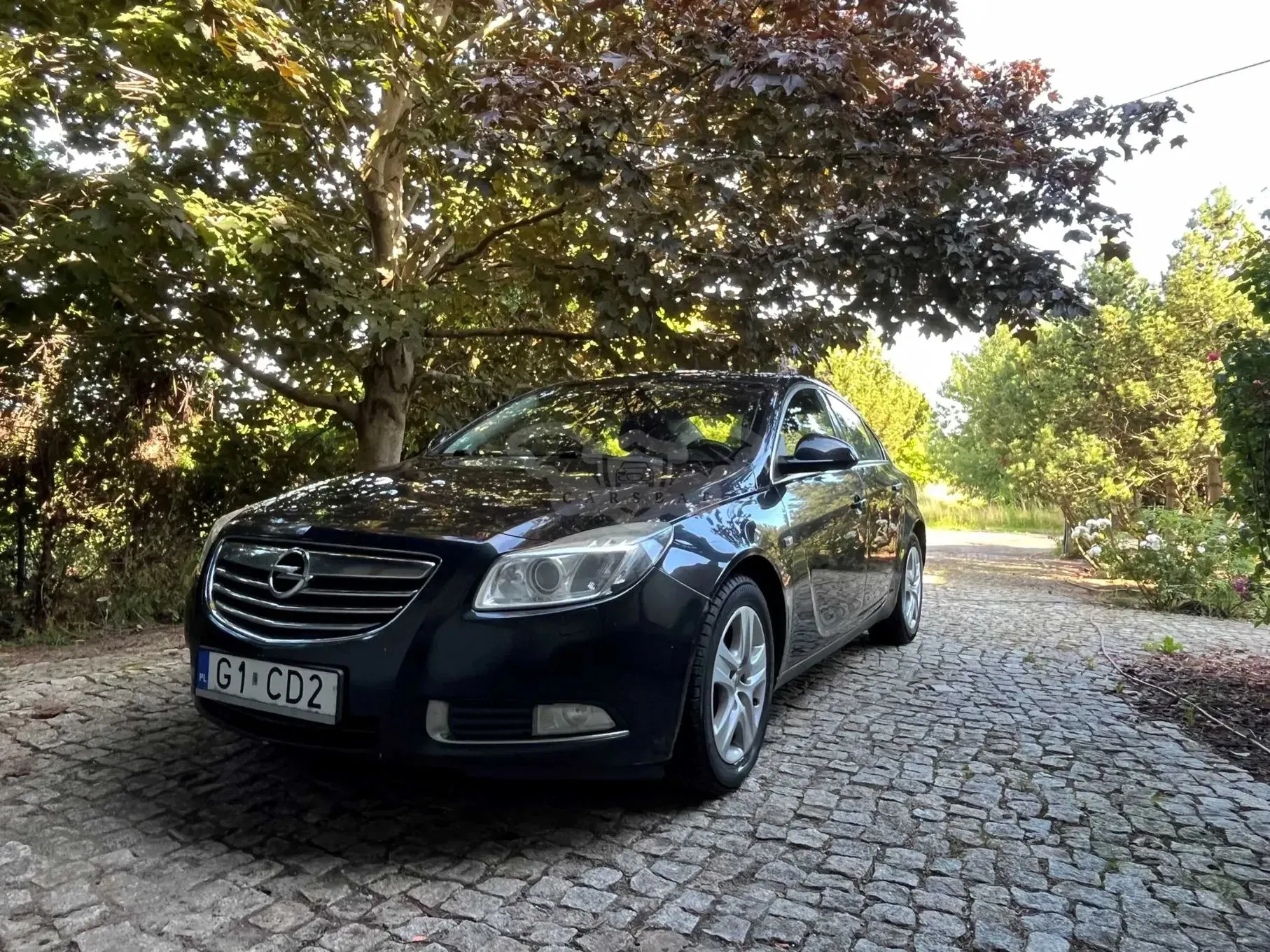 Opel Insignia A (2008-2017) 2.0 CDTI 2009