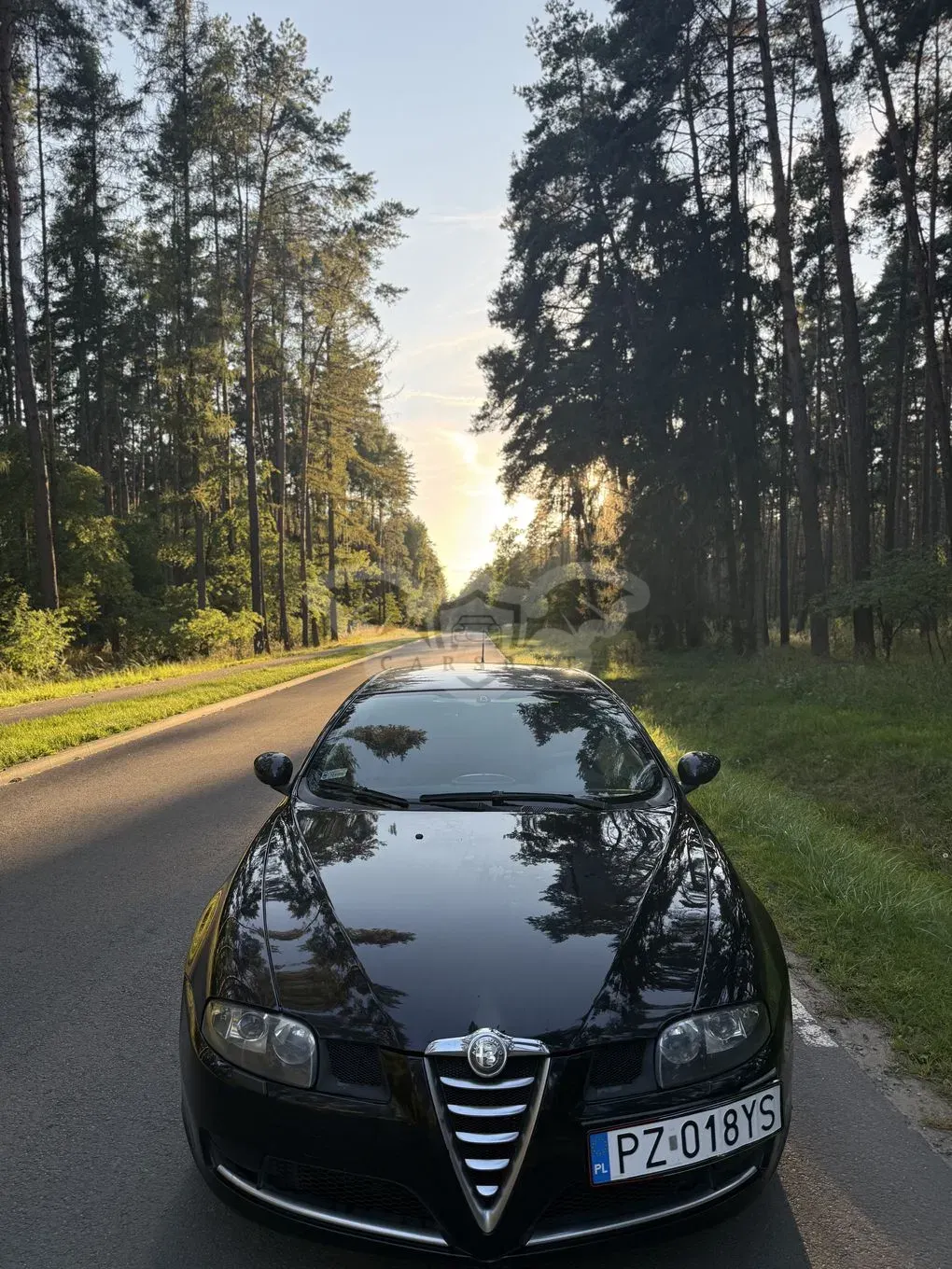 Alfa Romeo GT 1.9JTD 16V Distinctive 2007