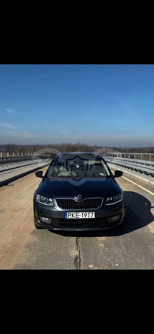 Skoda Octavia III (2013-) 2.0 TDI 4x4 Edition DSG 2014