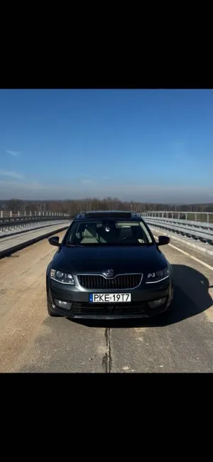 Skoda Octavia III (2013-) 2.0 TDI 4x4 Edition DSG 2014