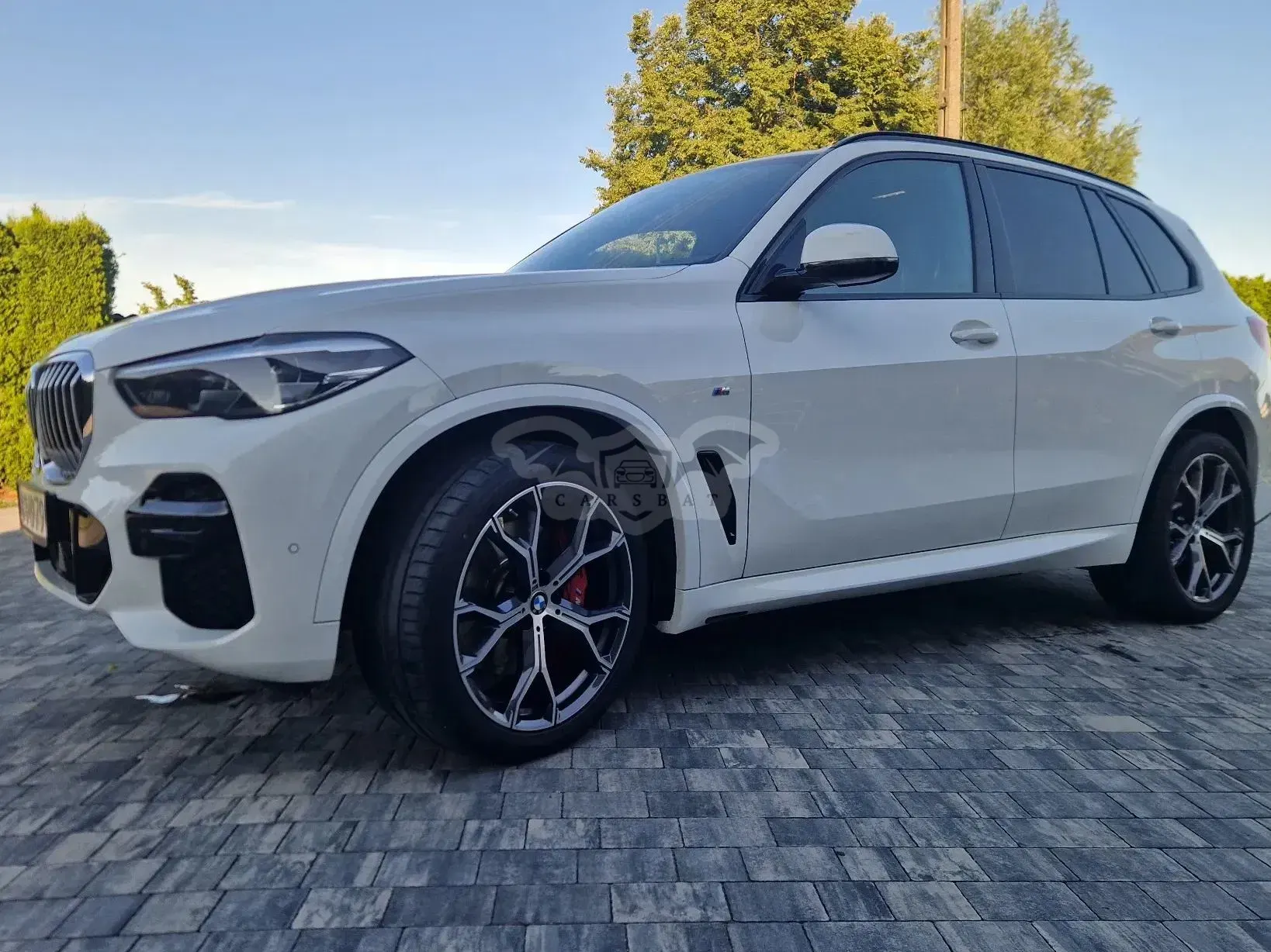 BMW X5 G05 (2018-) xDrive25d sport 2022