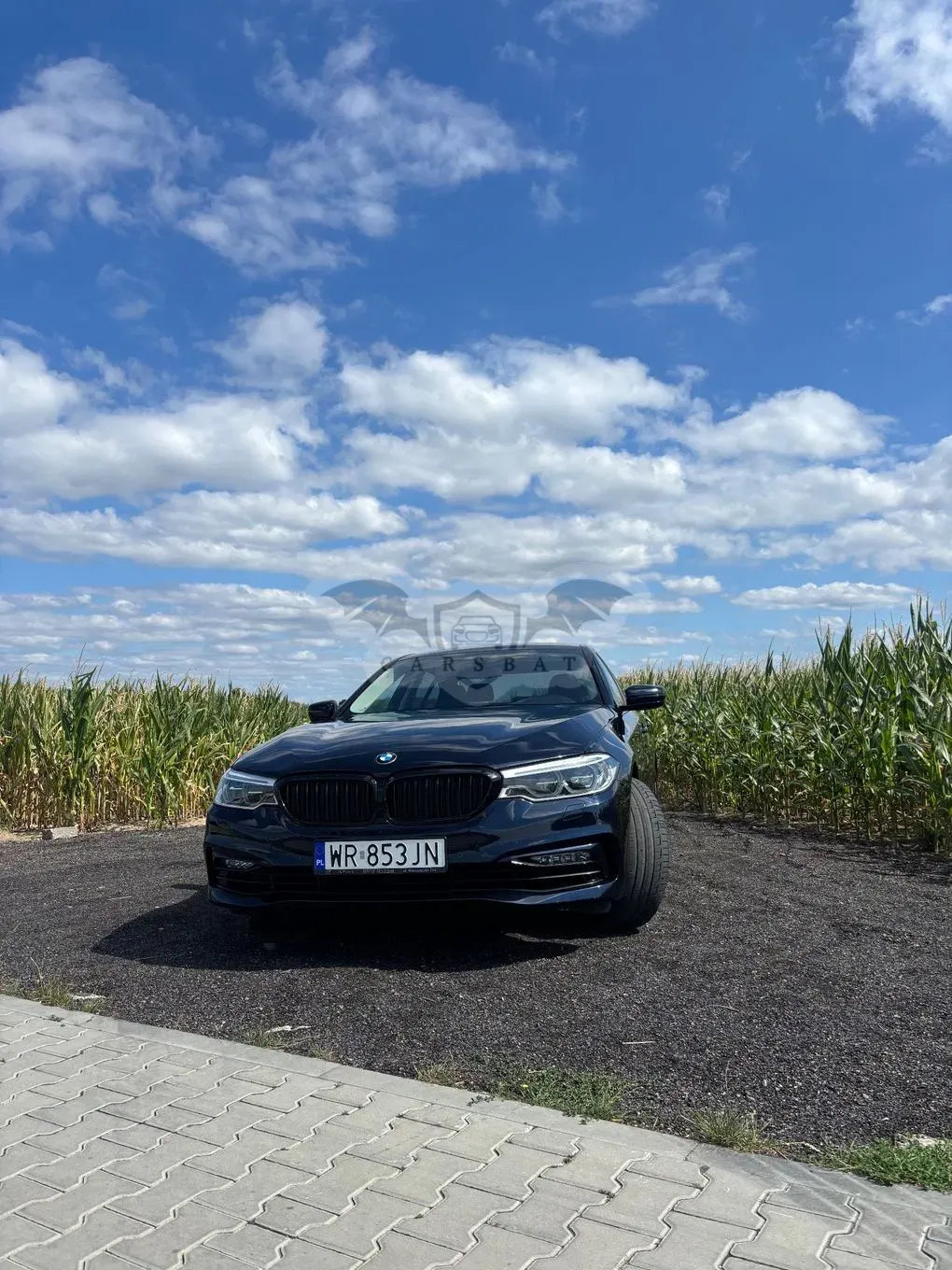 BMW 5 Series G30/G31 (2017-2023) 520d Efficient Dynamics Sport Line sport 2017