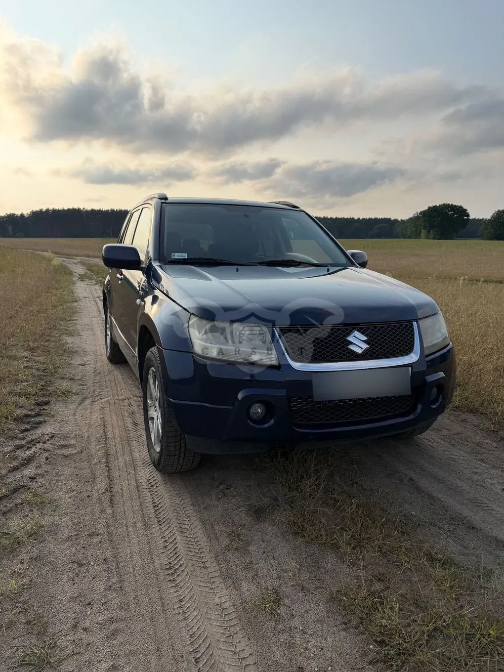 Suzuki Grand Vitara II (2005-2015) 1.9 DDiS 2006