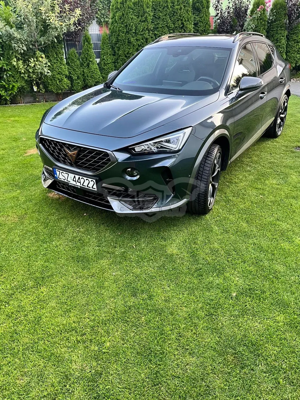 Cupra Formentor 2.0 TDI 4Drive DSG 2023