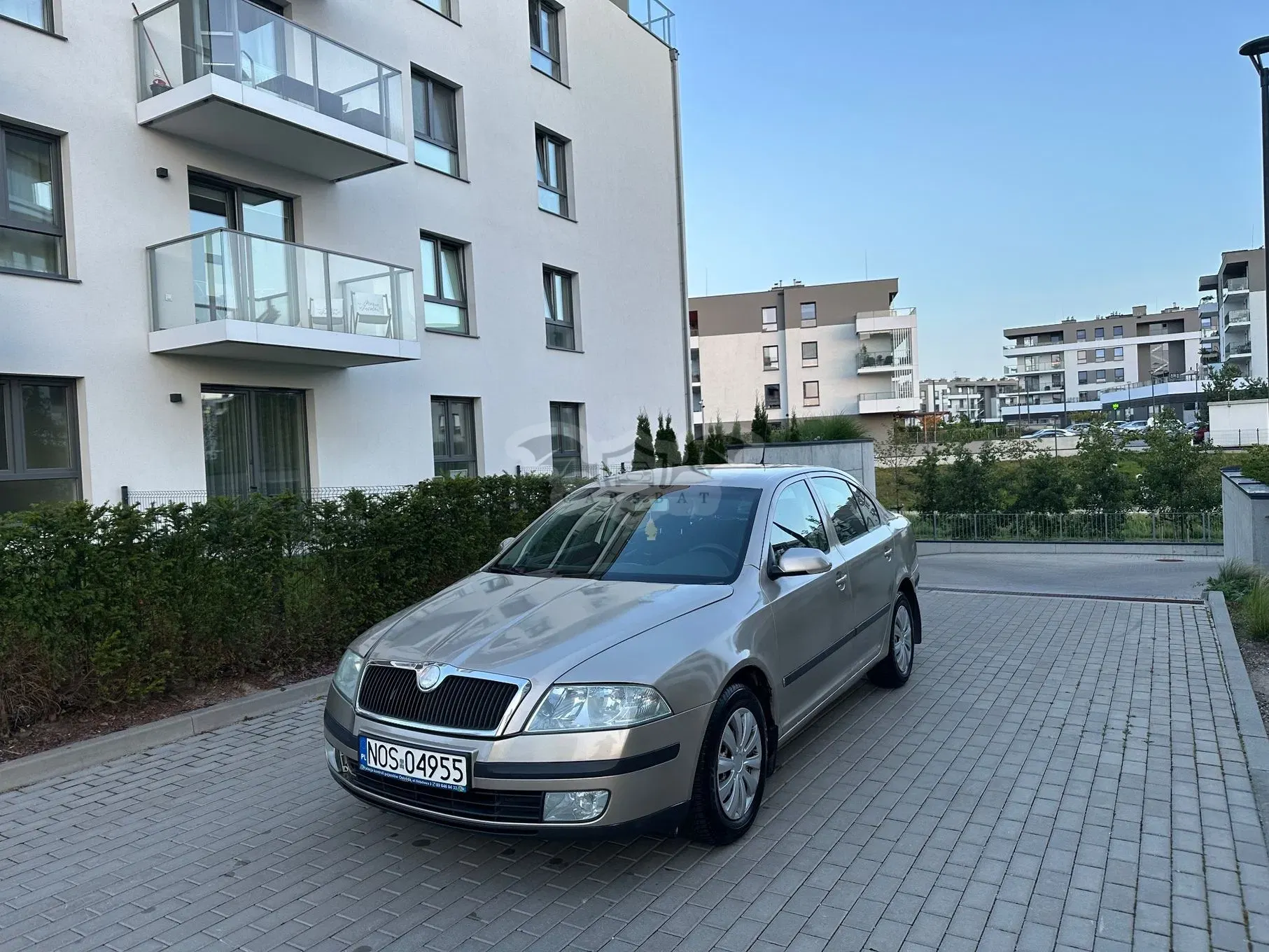 Skoda Octavia II (2004-2013) 1.9 TDI Ambiente 2006