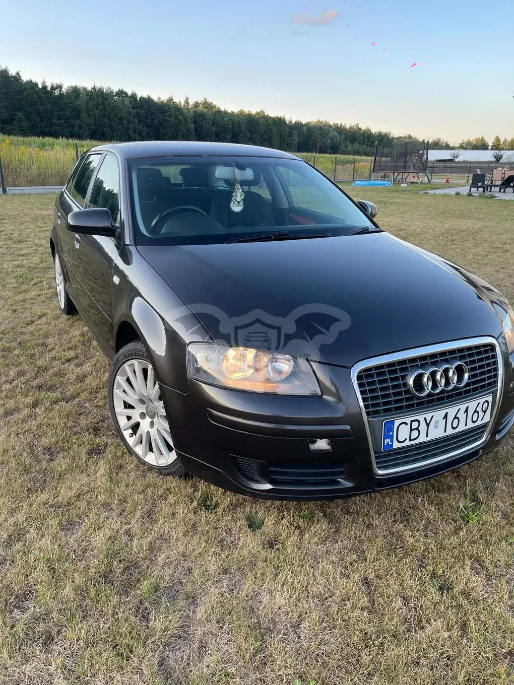 Audi A3 8P (2003-2012) 1.9 TDI DPF Ambiente 2007