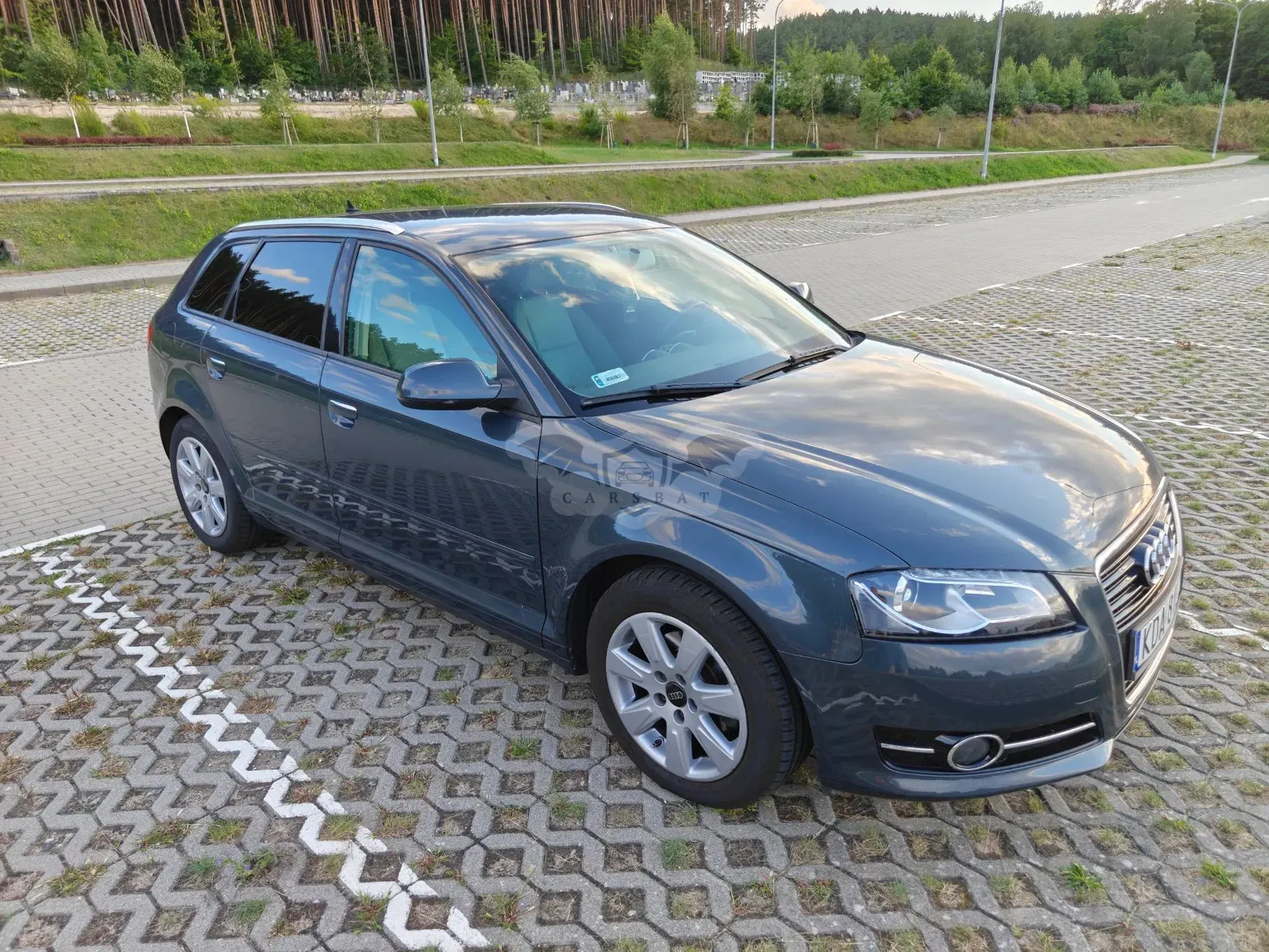 Audi A3 8P (2003-2012) 2011