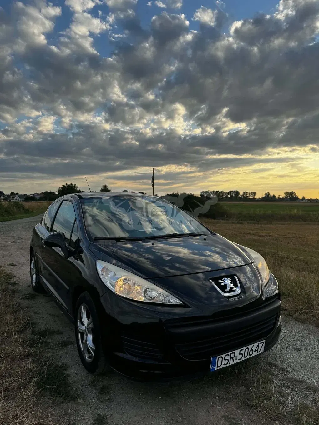 Peugeot 207 1.4 Trendy 2009