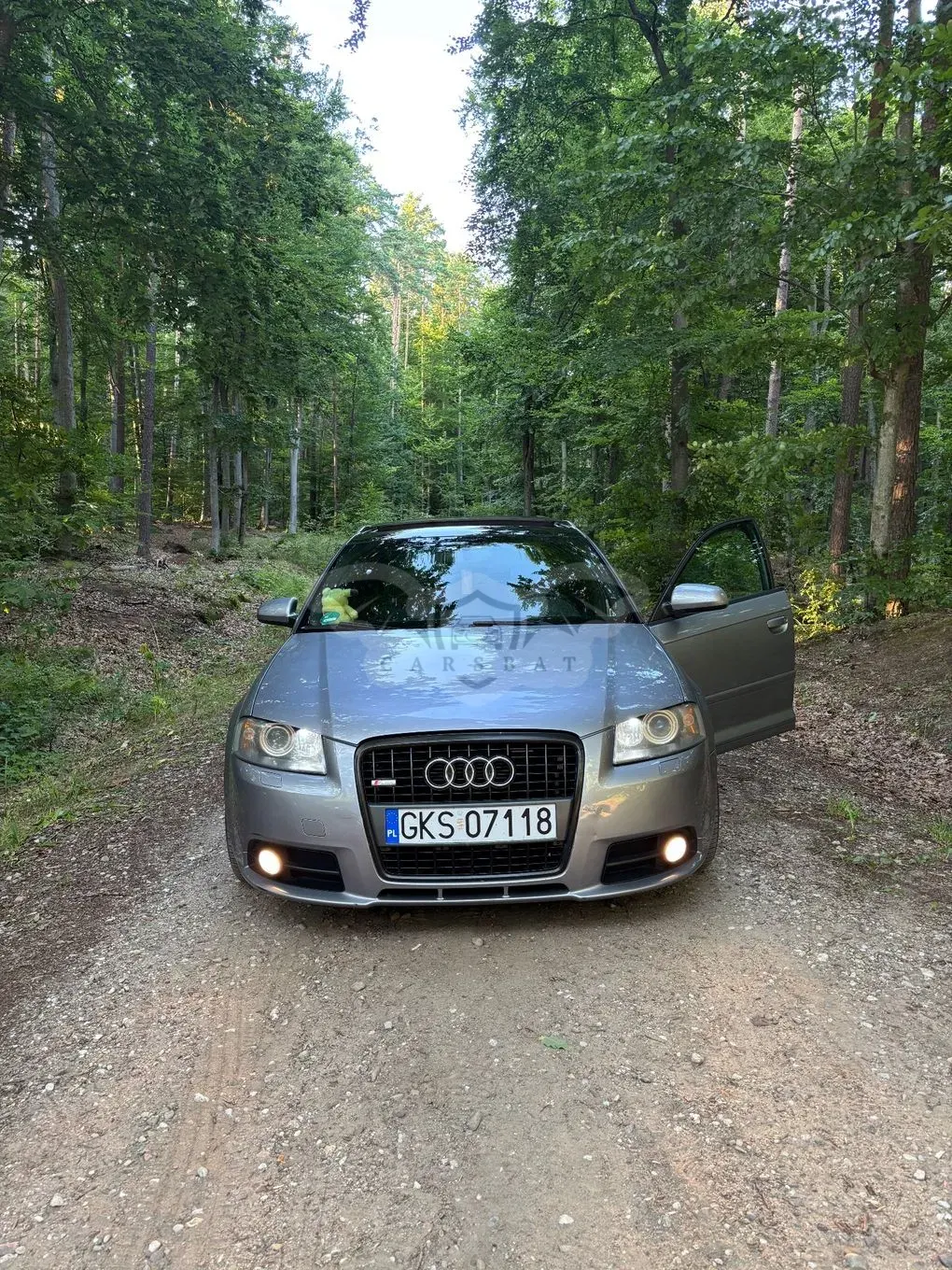 Audi A3 8P (2003-2012) 2.0 TDI DPF Attraction 2005
