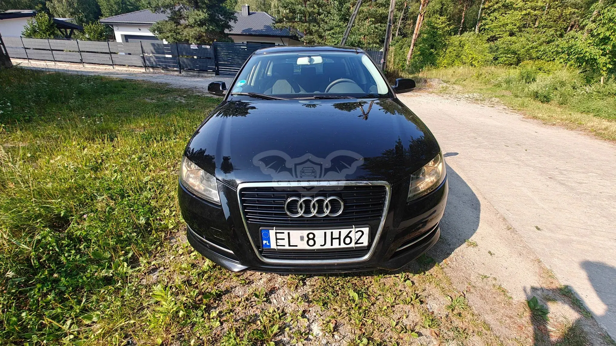 Audi A3 8P (2003-2012) 2010