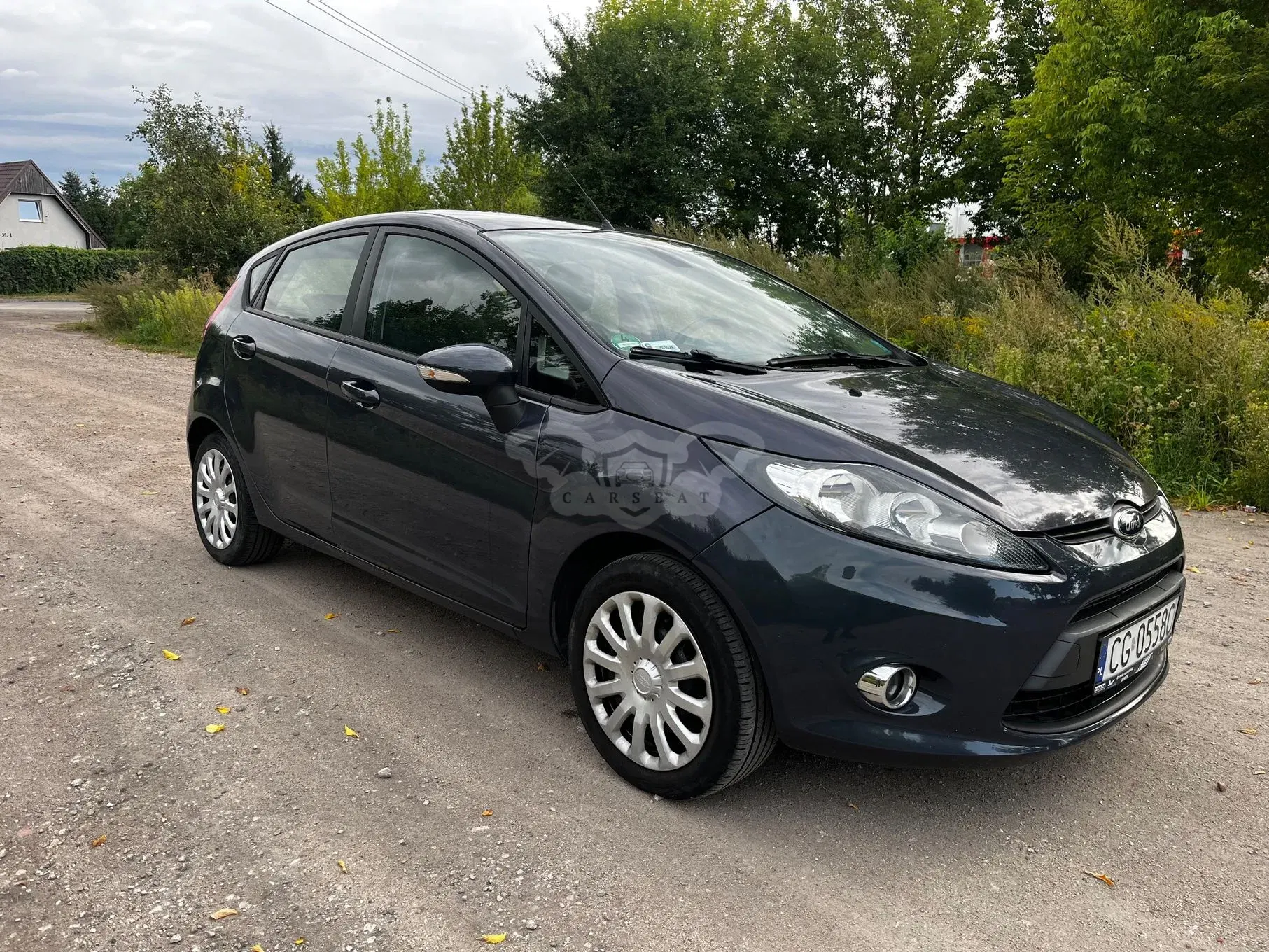 Ford Fiesta Mk7 (2008-) 1.25 Silver X (Trend) EU5 2012