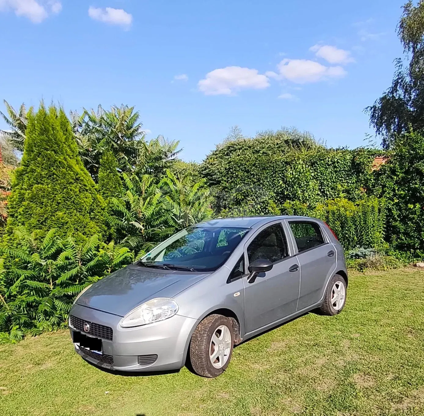 Fiat Punto 1.2 8V 2012