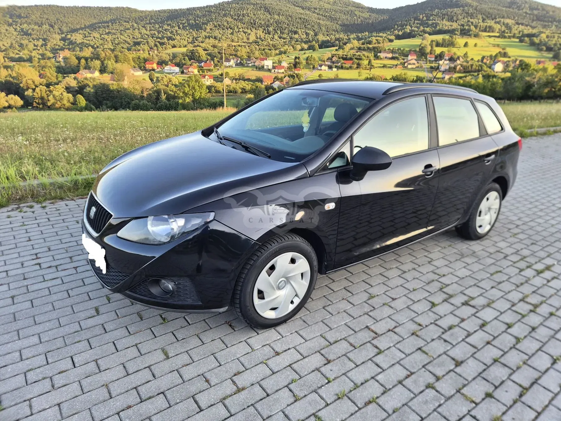 Seat Ibiza IV (2008-2017) 2010