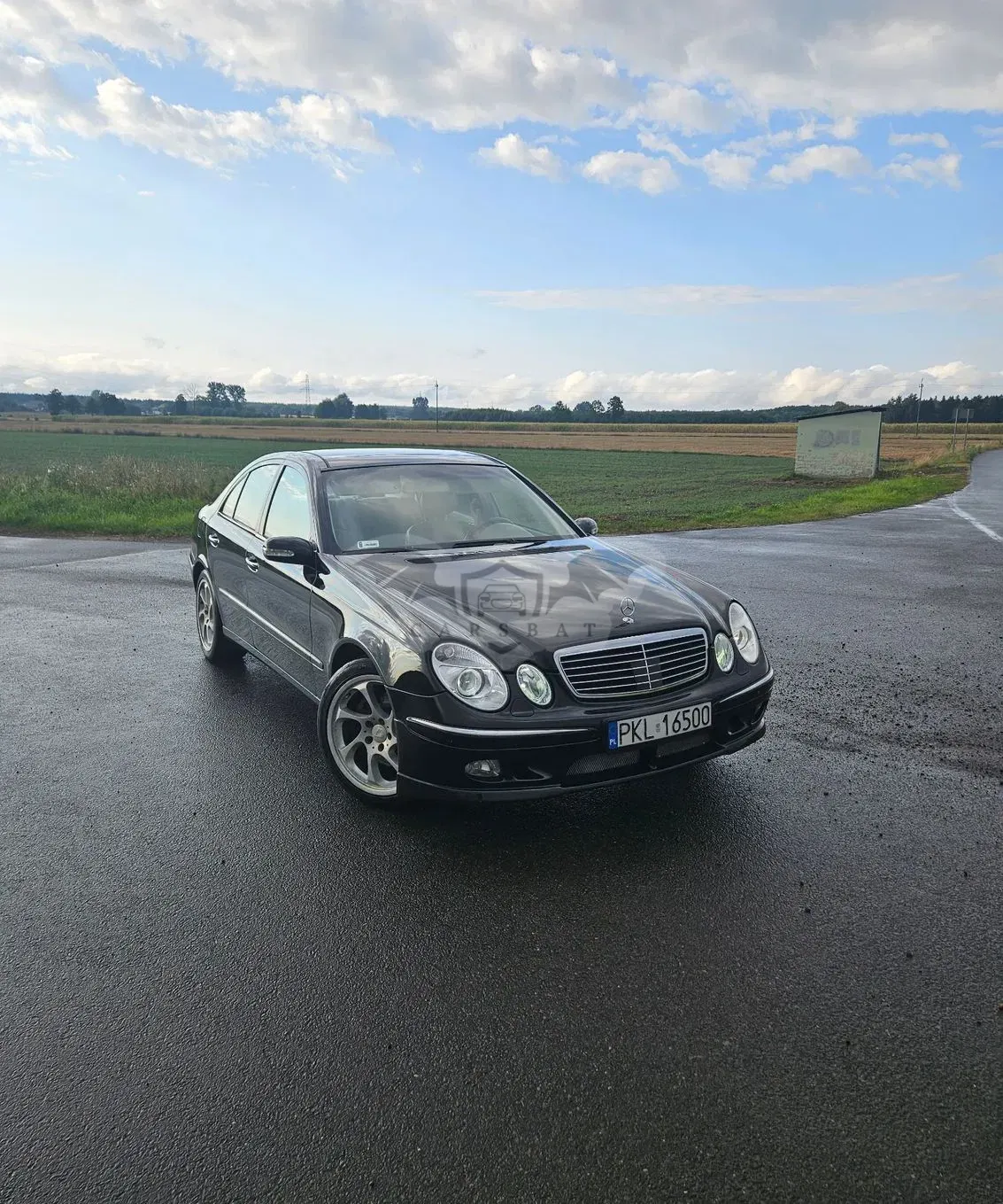 Mercedes-Benz E W211 (2002-2009) 500 4-Matic Elegance 2005
