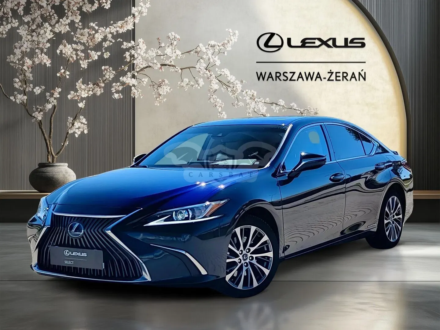 Lexus ES 300h Business Edition 2020