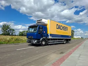 Renault D 2017