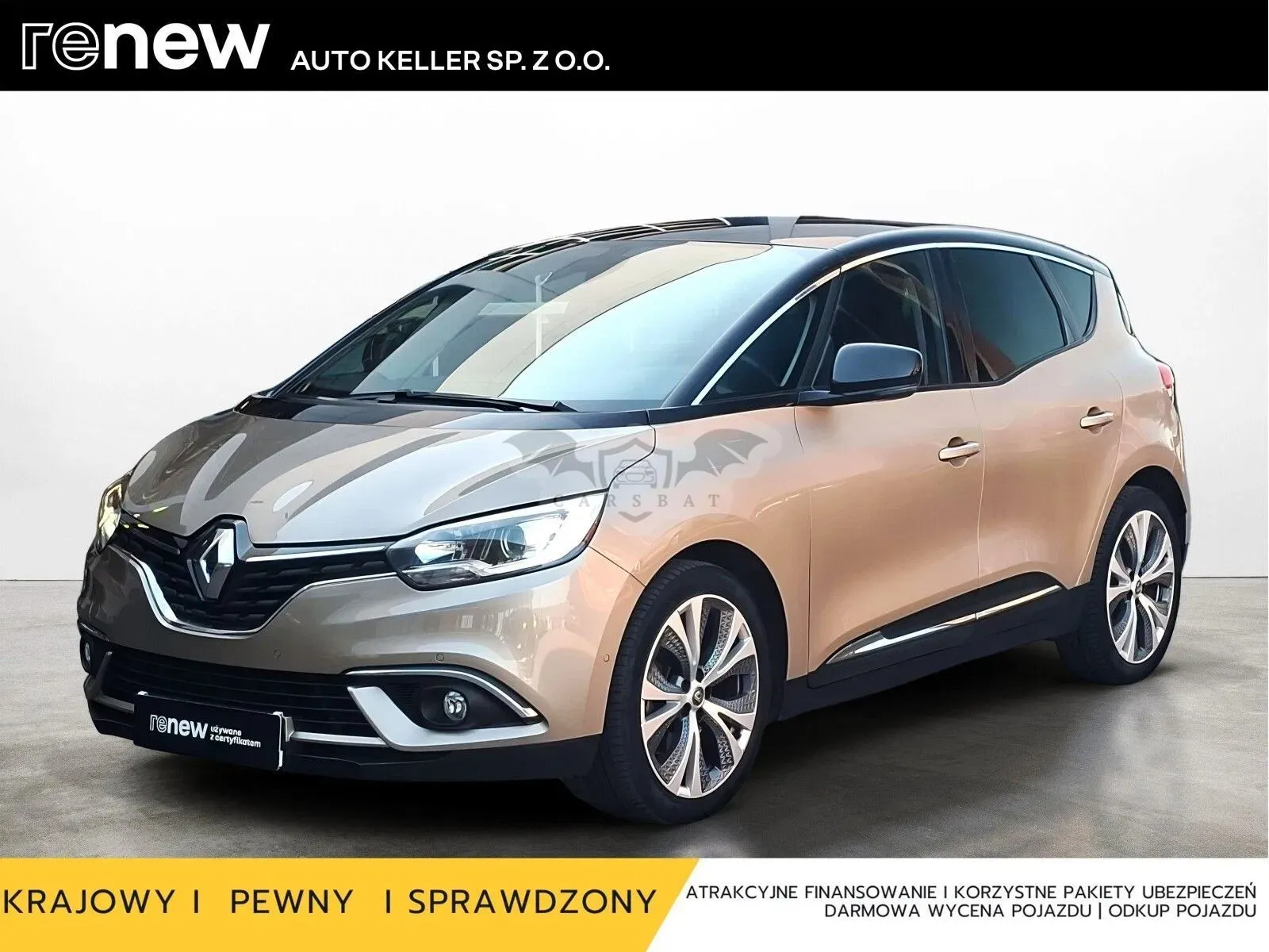 Renault Scenic IV (2016-) 2019