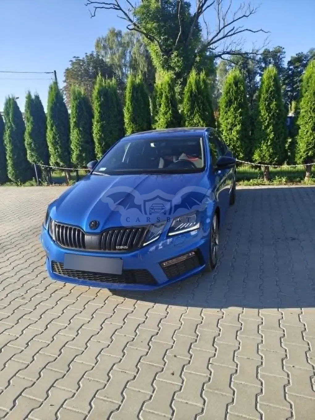 Skoda Octavia III (2013-) 2.0 TDI RS EU6 2018