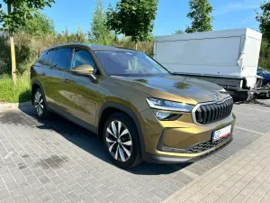 Skoda Kodiaq II (2024-) 2.0 TDI 4x4 Selection DSG 2024