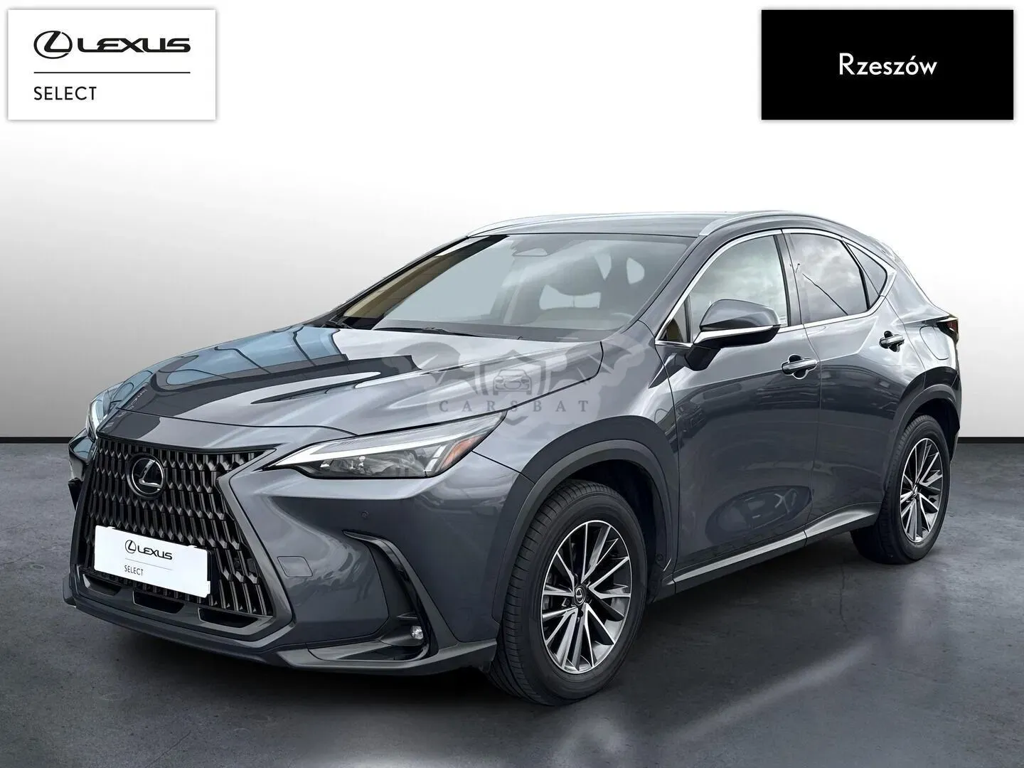 Lexus NX II (2021-) 350h Prestige AWD 2024