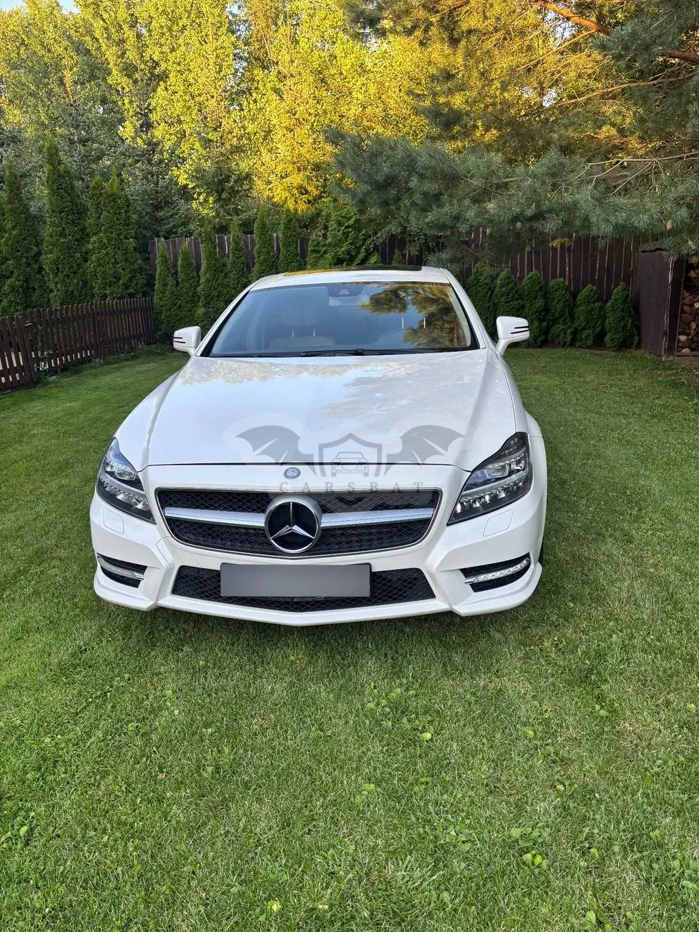 Mercedes-Benz CLS C218 (2011-) 500 BlueEFFICIENCY 2013