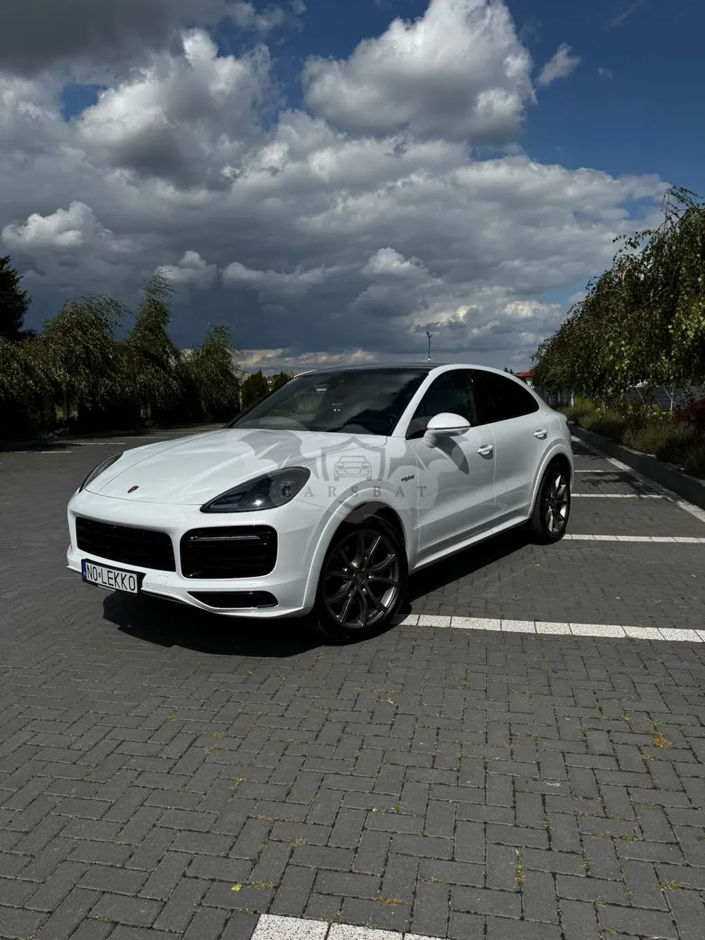 Porsche Cayenne III (2017-) Platinum Edition 2022