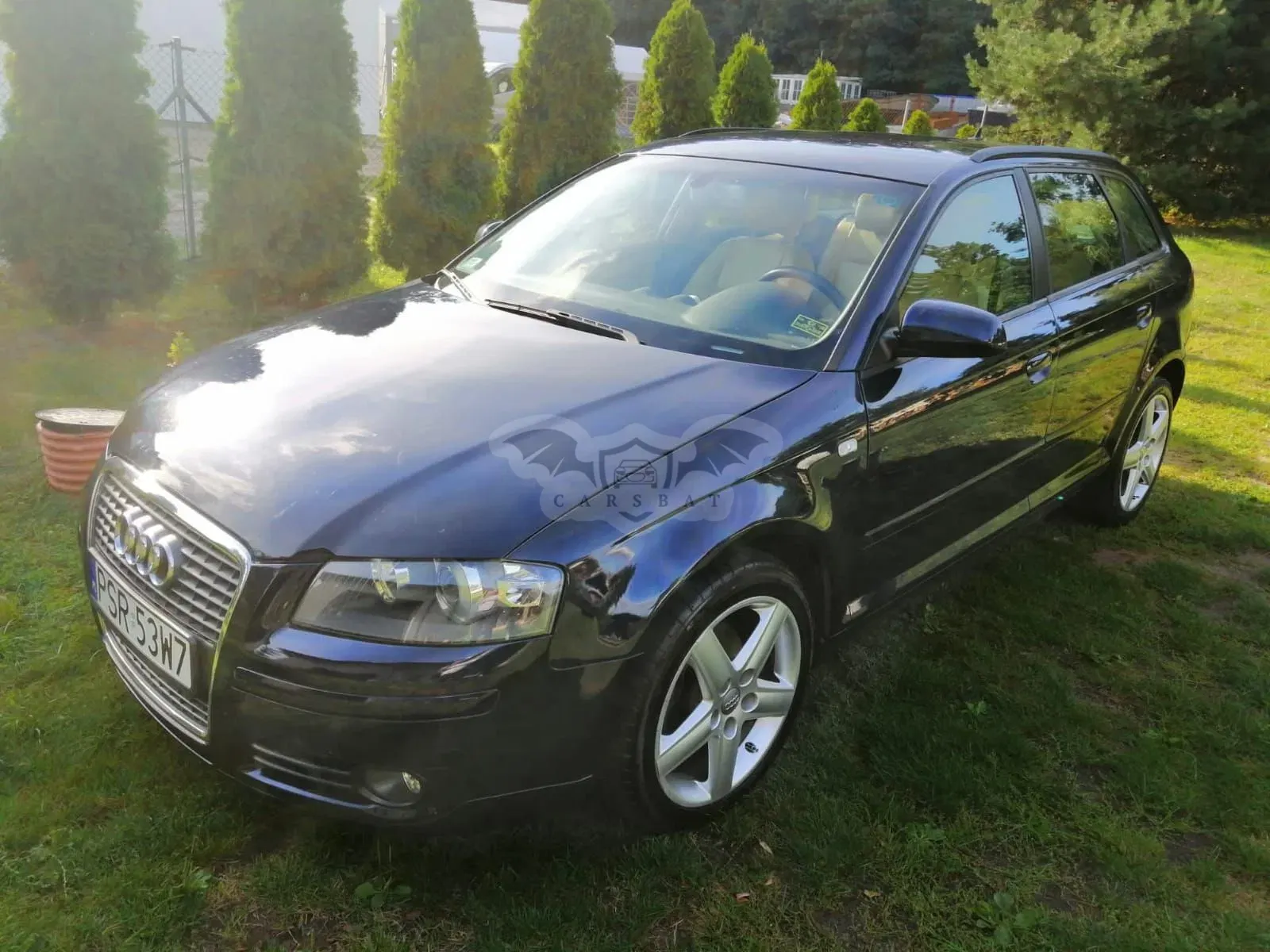 Audi A3 8P (2003-2012) 2.0 TDI Ambiente S tronic 2005