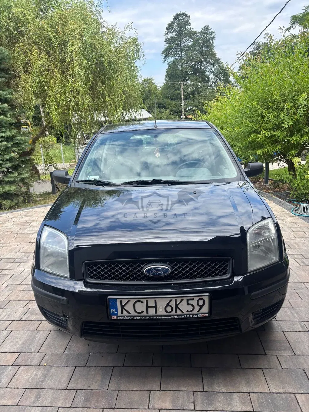 Ford Fusion 1.25 Ambiente 2004